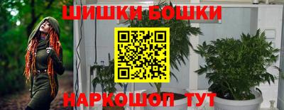 индика Кизляр