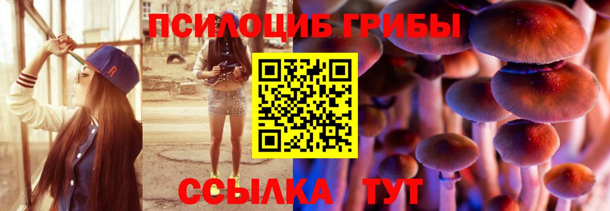 Псилоцибиновые грибы GOLDEN TEACHER Асбест