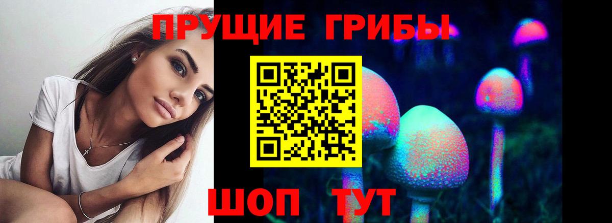 магазин    Галлюциногенные грибы Magic Shrooms  Галлюциногенные грибы Magic Shrooms  Вход с VPN  Асбест 